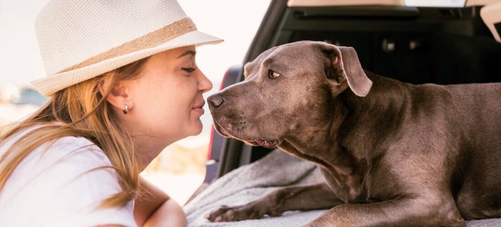 vacaciones con perros