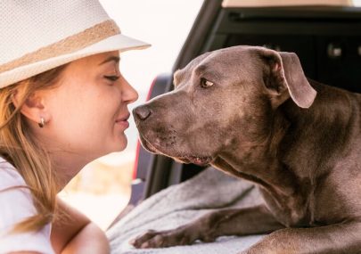 vacaciones con perros